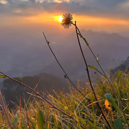 Haus Am 펜션 Mühldorf