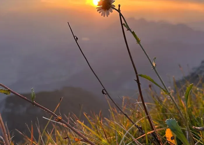 Haus Am Hébergement de vacances Mühldorf
