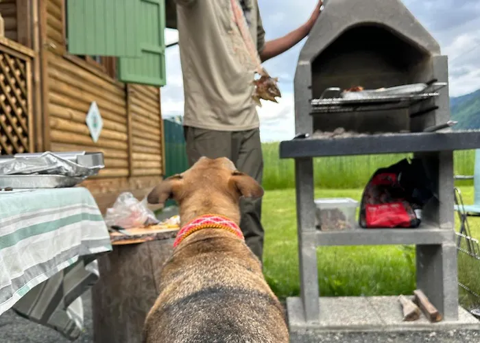 Haus Am Hébergement de vacances *